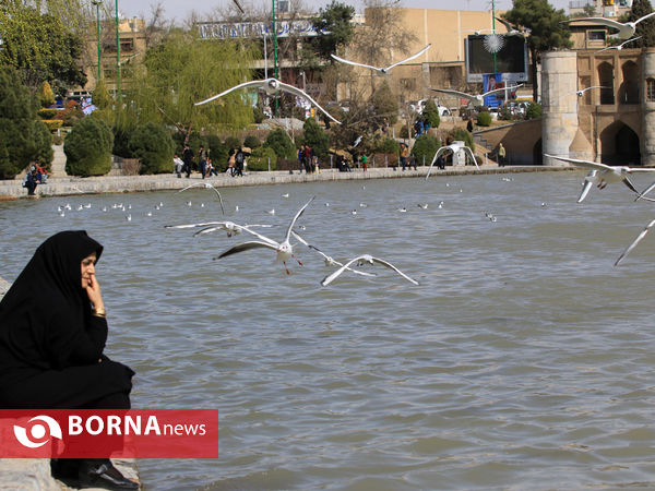 زاینده رود در بهار