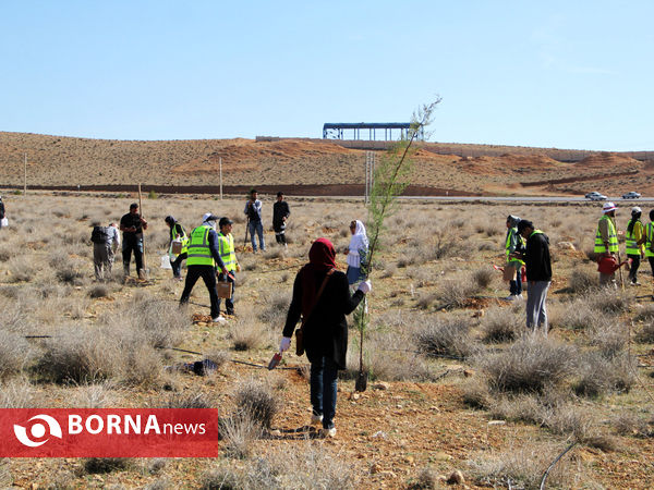 درختکاری مردم و سازمان های مردم نهاد -شیراز
