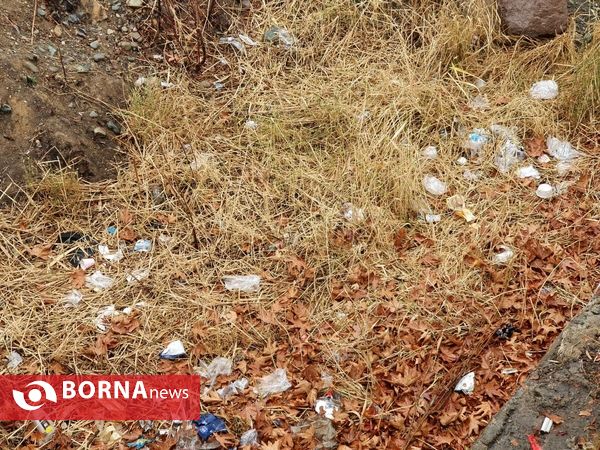 پارک و ساحل را زباله نکنیم