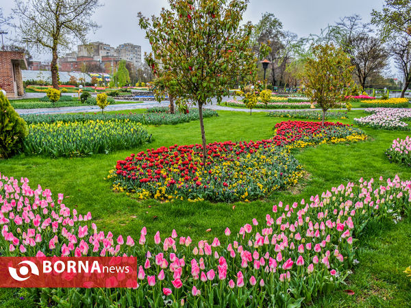 جشنواره گل‌های لاله