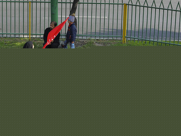 پیاده روی جاماندگان اربعین در تهران