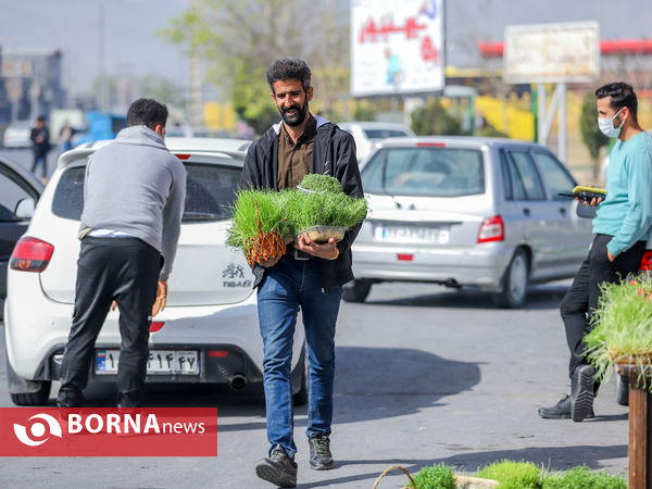 مشارکت در نظافت شهر