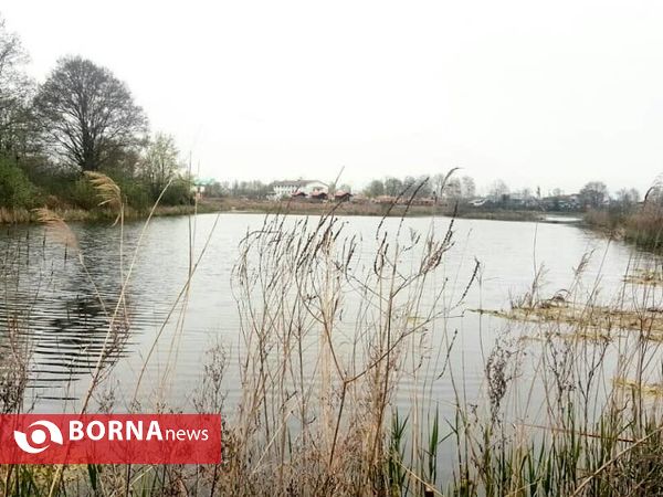 تالاب حاجی آباد لاهیجان