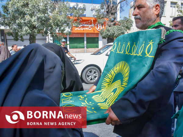 ارادت به امام رضا(ع)