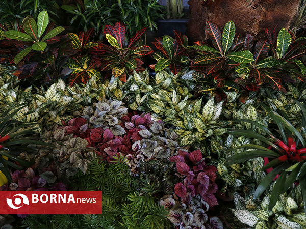 شانزدهمین نمایشگاه بین المللی گل و گیاه تهران