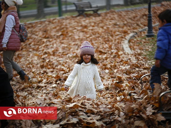 واپسین روزهای پاییزی تهران