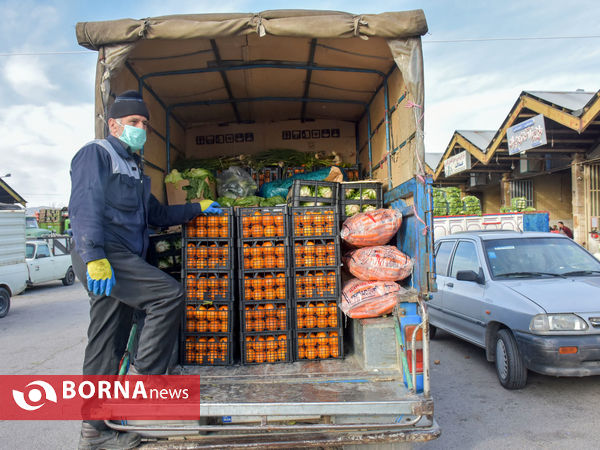 میدان میوه و تره بار در روزهای پایانی سال