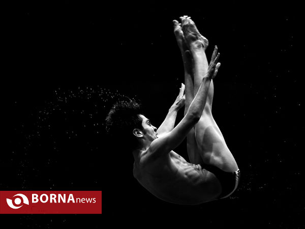 فینال لیگ شیرجه قهرمانی کشور