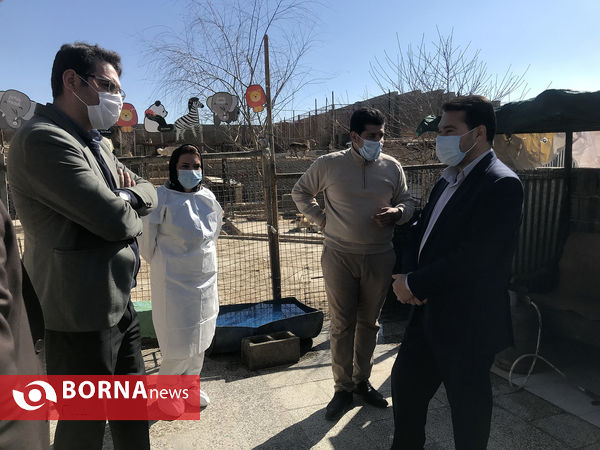 پناهگاه حیوانات در شیراز؛ جایی برای دوستی انسان و حیوان