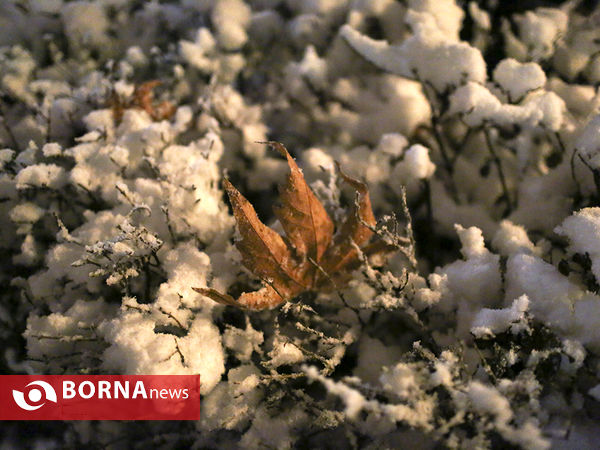 اولین برف زمستانی تهران
