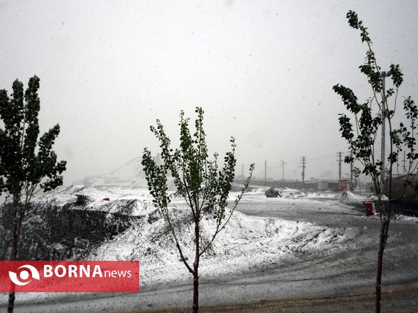 بارش برف بهاری - غرب تهران