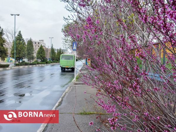 باران بهاری ۱۴۰۰
