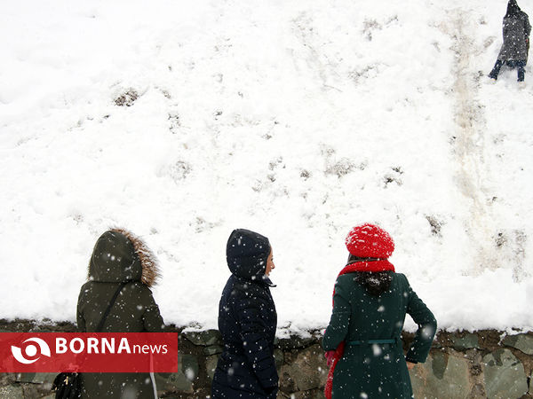 بارش برف در تهران