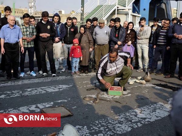 پهلوان اکبر
