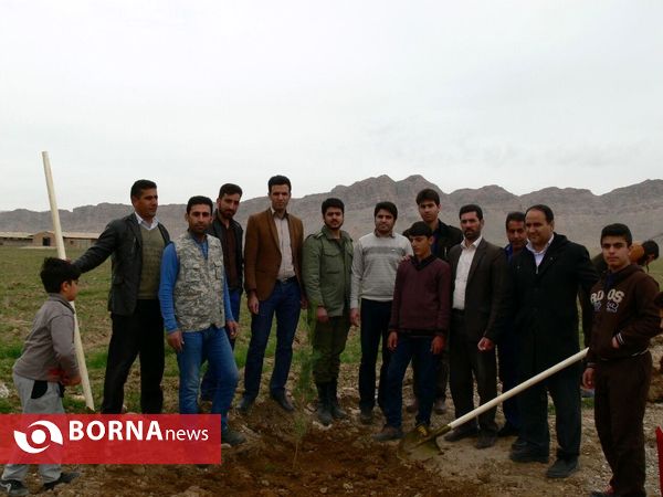 آغازفعالیتهای درختکاری در رومشکان درآستانه هفته منابع طبیعی