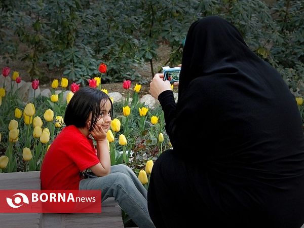باغ ایرانی