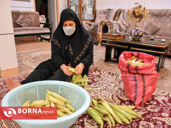 ماه منیر بانوی موفق کارآفرین