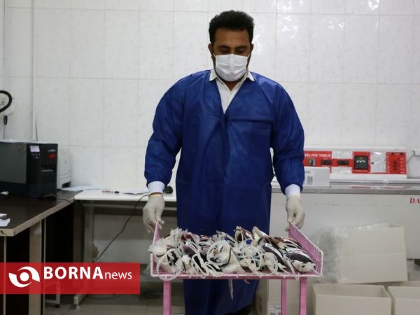 نذر خون شب دهم محرم