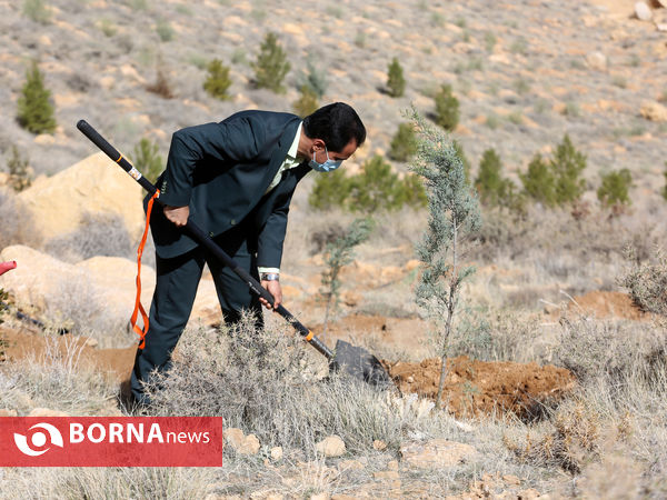آیین روز درختکاری در شیراز
