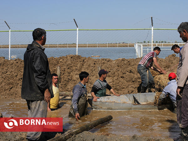 بچه های مدرسه یلمه خندان