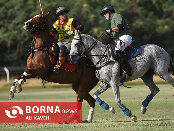 لیگ  ملی چوگان