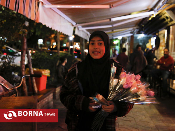فروش گل در خیابان  - عکاس : ساره سلطانیه