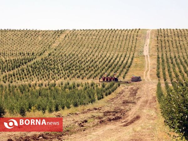 سفر استاندار  آذربایجان شرقی به مراغه و هشترود