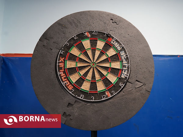 اولین دوره لیگ برتر دارت