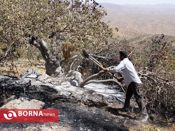 مهار آتش در ارتفاعات پاسارگاد