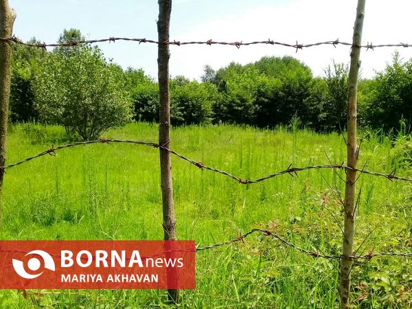 پاشاکی روستایی در شرق استان گیلان