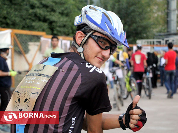 گرامیداشت روز ملی یوزپلنگ ایرانی در شیراز