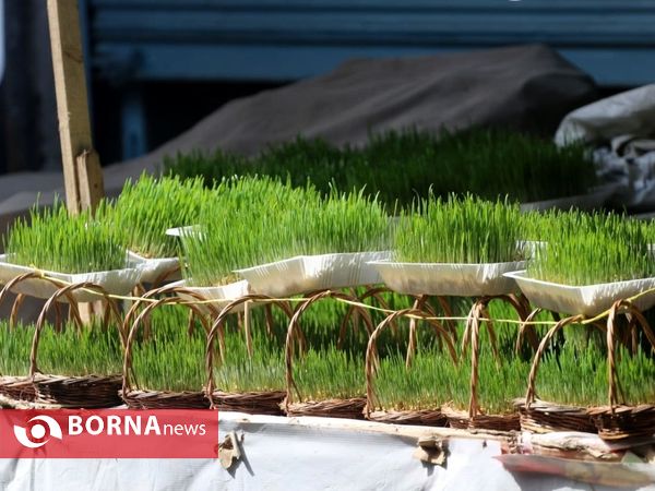 حال و هوای نوروزی در لاهیجان