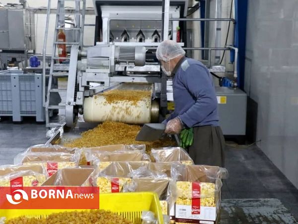 افتتاح پروژه‌های عمرانی، ورزشی و تولیدی در سردشت