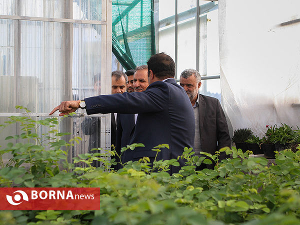 بازدید معاون اول رئیس جمهوری از چند پروژه کشاورزی و صنعتی در شهرستان رباط کریم