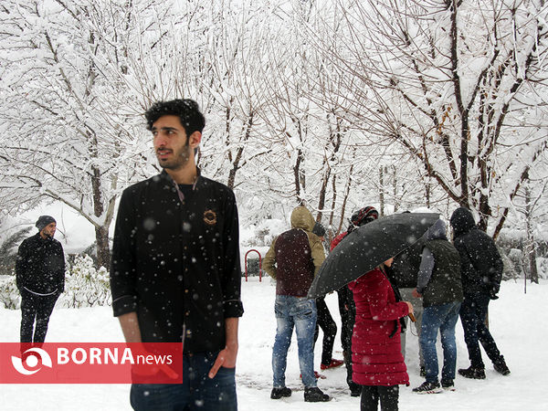 بارش برف در تهران
