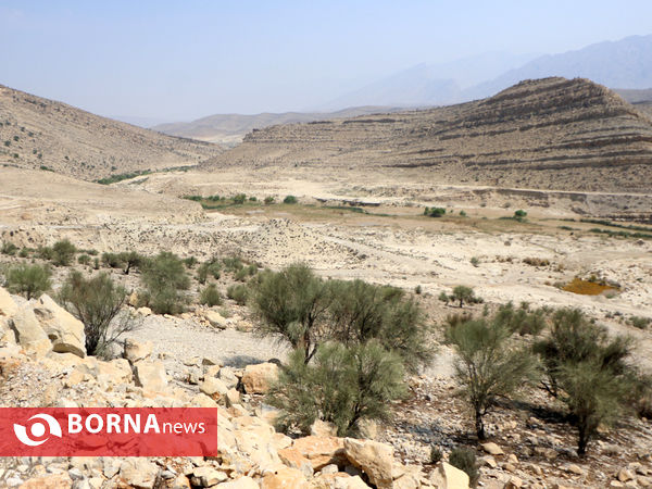 بهره برداری از سد مخزنی هایقر در فیروزآباد فارس