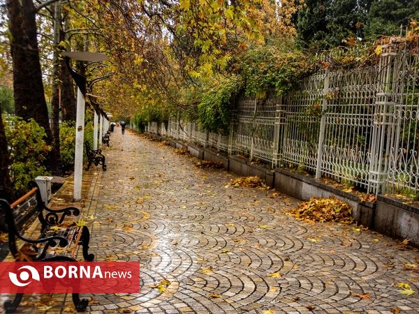 شيراز زیبای بارانی