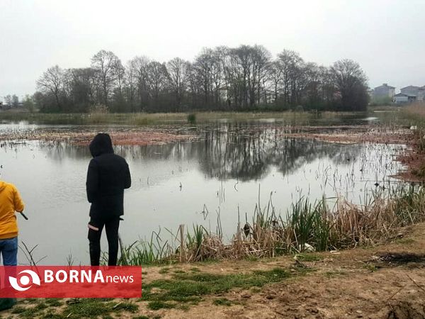 تالاب حاجی آباد لاهیجان