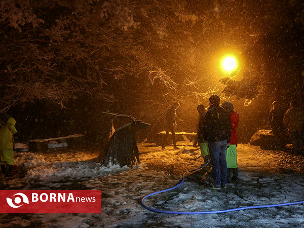 اولین برف زمستانی تهران