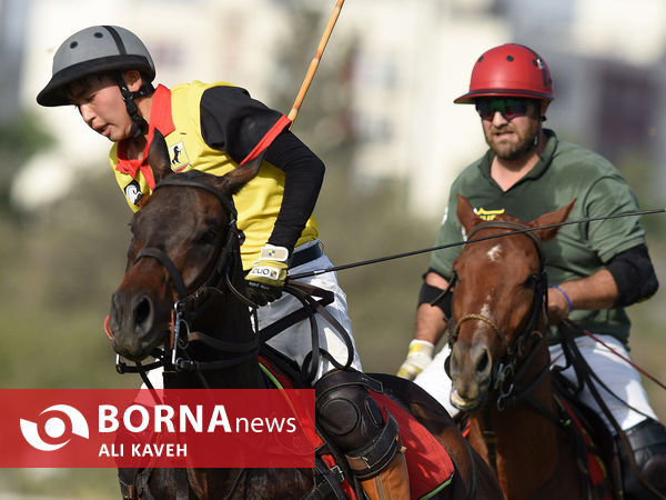 لیگ  ملی چوگان