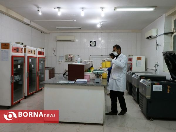 نذر خون شب دهم محرم