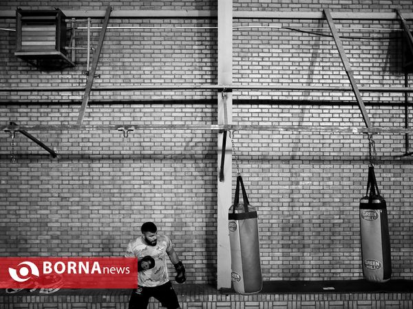 امیر علی اکبری قهرمان رشته MMA