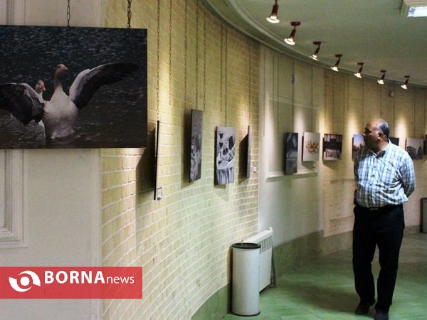 نمایشگاه آثار هنرمندان شاهد و ایثارگر استان فارس