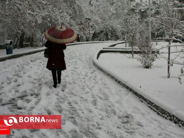 برگزیده گزارش های تصویری آذر ۱۳۹۴