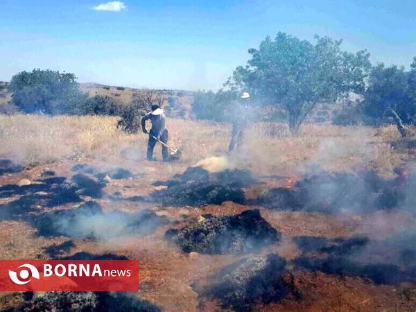 آتش سوزی در جنگل های پاسارگاد