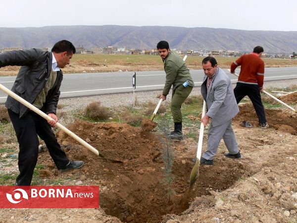 آغازفعالیتهای درختکاری در رومشکان درآستانه هفته منابع طبیعی