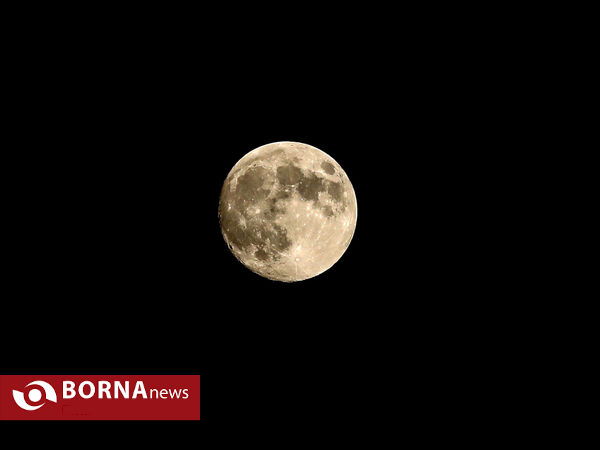 دیدار تیم های سایپا- سپیدرود رشت