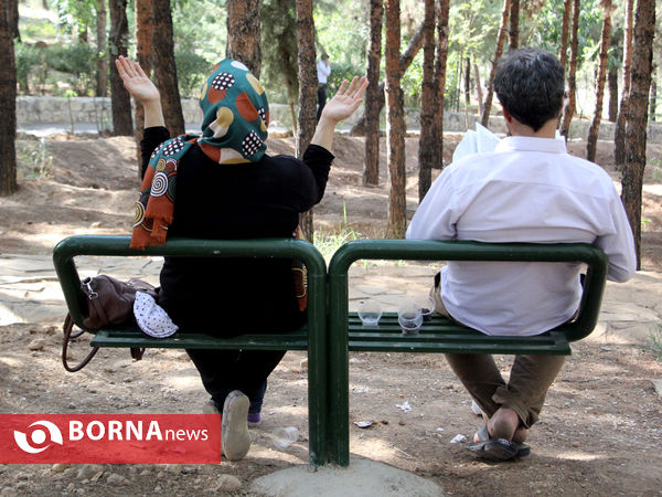 دعای عرفه در تپه الشهدای شیراز