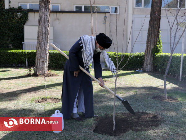 کاشت نهال توسط رهبر معظم انقلاب