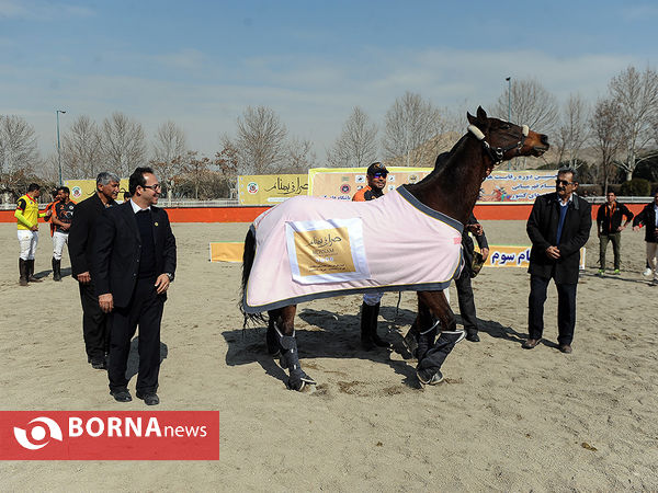 جام قهرمانی چوگان باشگاه‌های ایران